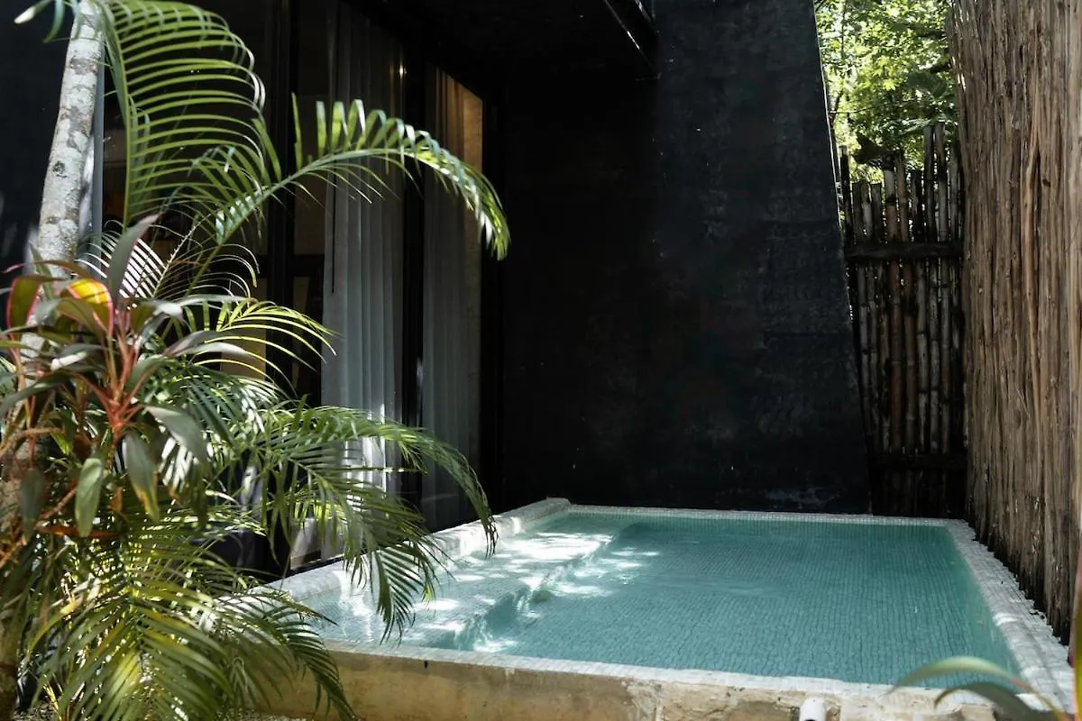 Spacious Luxury Design 5Br Villa - 3 Pools & Rooftop, Bbq, Free Bikes, Close To Beach Tulum