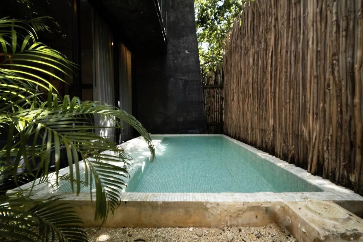 Spacious Luxury Design 5Br Villa - 3 Pools & Rooftop, Bbq, Free Bikes, Close To Beach Tulum Mexico