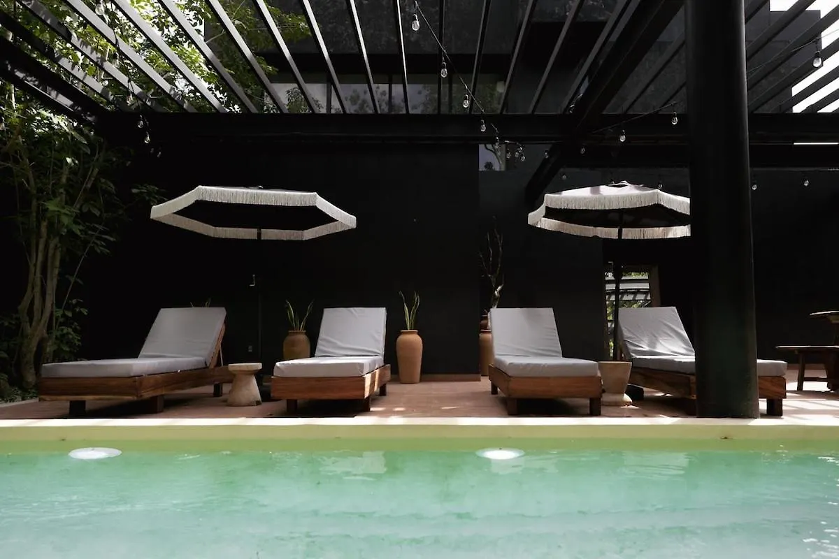 Spacious Luxury Design 5Br Villa - 3 Pools & Rooftop, Bbq, Free Bikes, Close To Beach Tulum
